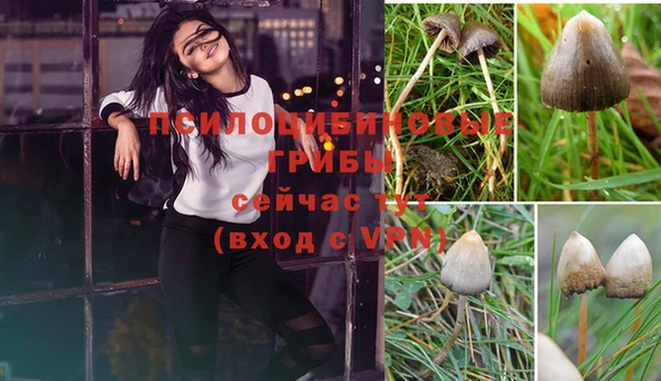 apvp Сосновка