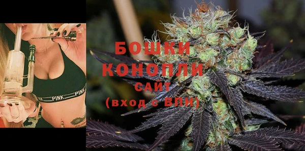 мет Калининец