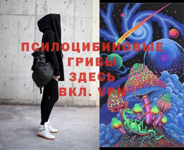 дмт Нестеровская